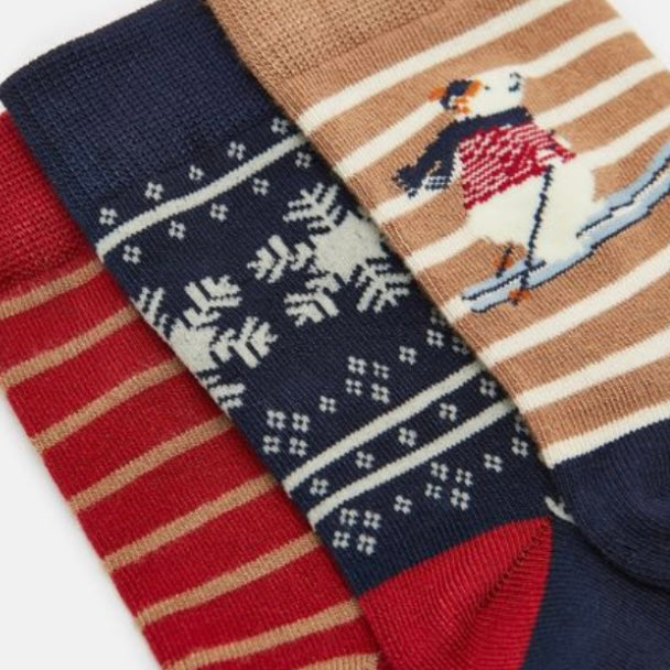 Joules eat feet 3 pack Polar Bear - AW24/25