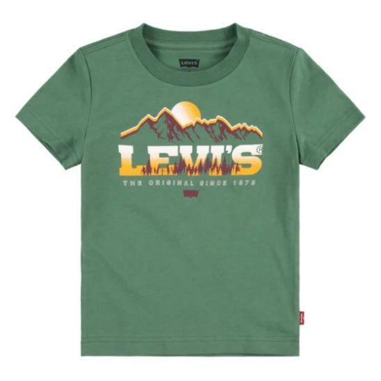 Levi’s majestic mountains T shirt Mrytle - AW24/25