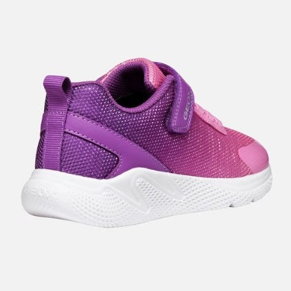 Geox Sprintye purple/ dark pink