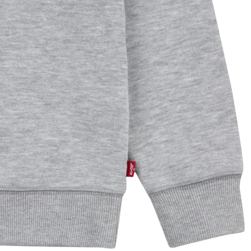 Levi Grey Sweatshirt AW24/25