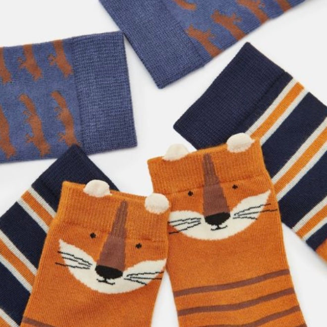 Joules eat feet 3 pack Fox - AW24/25