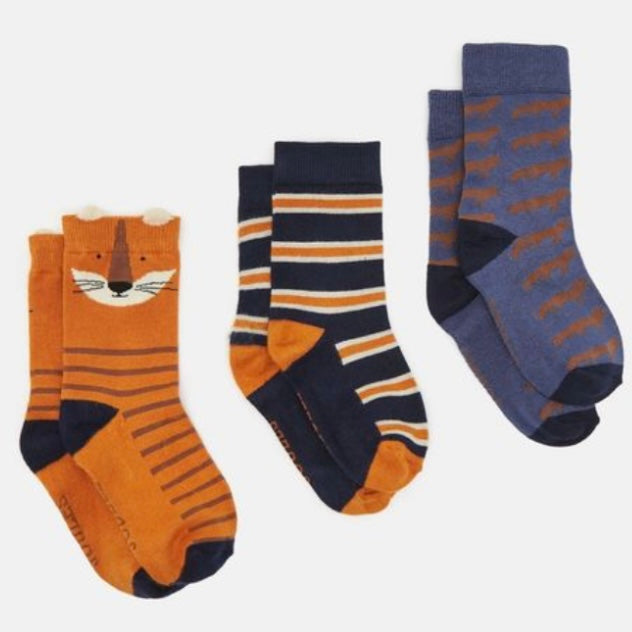 Joules eat feet 3 pack Fox - AW24/25