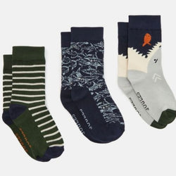 Joules eat feet 3 pack Shark - AW24/25