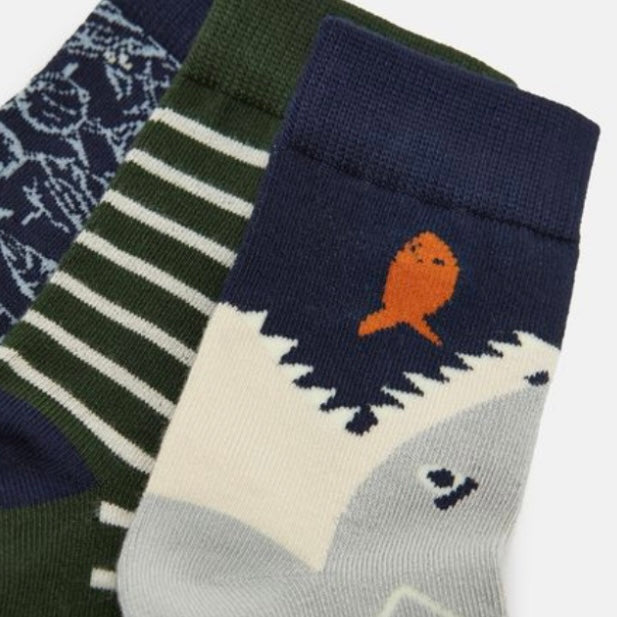 Joules eat feet 3 pack Shark - AW24/25