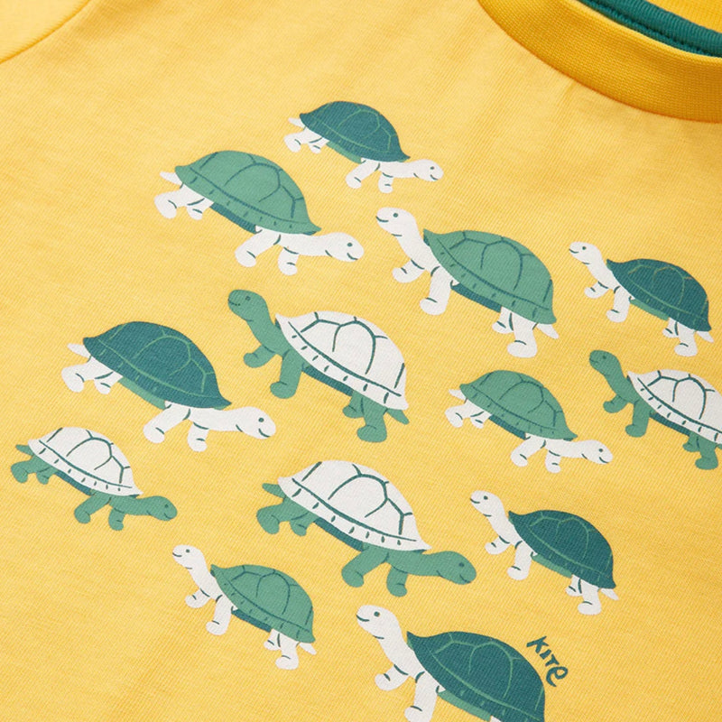Kite Giant Tortoise T Shirt - SS24