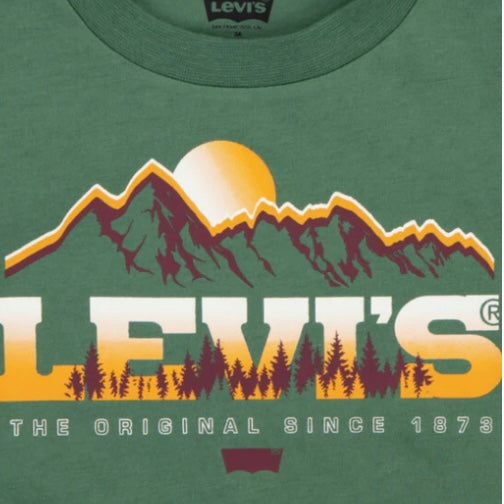 Levi’s majestic mountains T shirt Mrytle - AW24/25