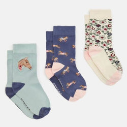 Joules neat feet 3 pack Equestrian - AW24/25