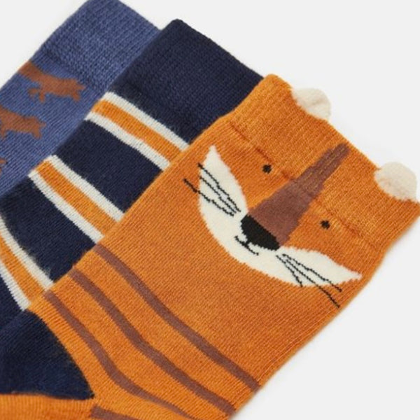 Joules eat feet 3 pack Fox - AW24/25