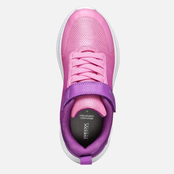 Geox Sprintye purple/ dark pink