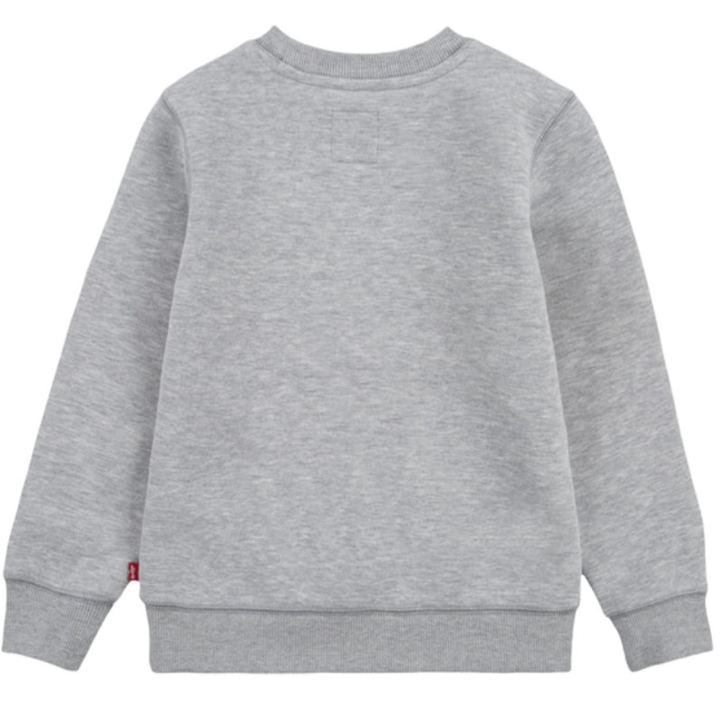 Levi Grey Sweatshirt AW24/25